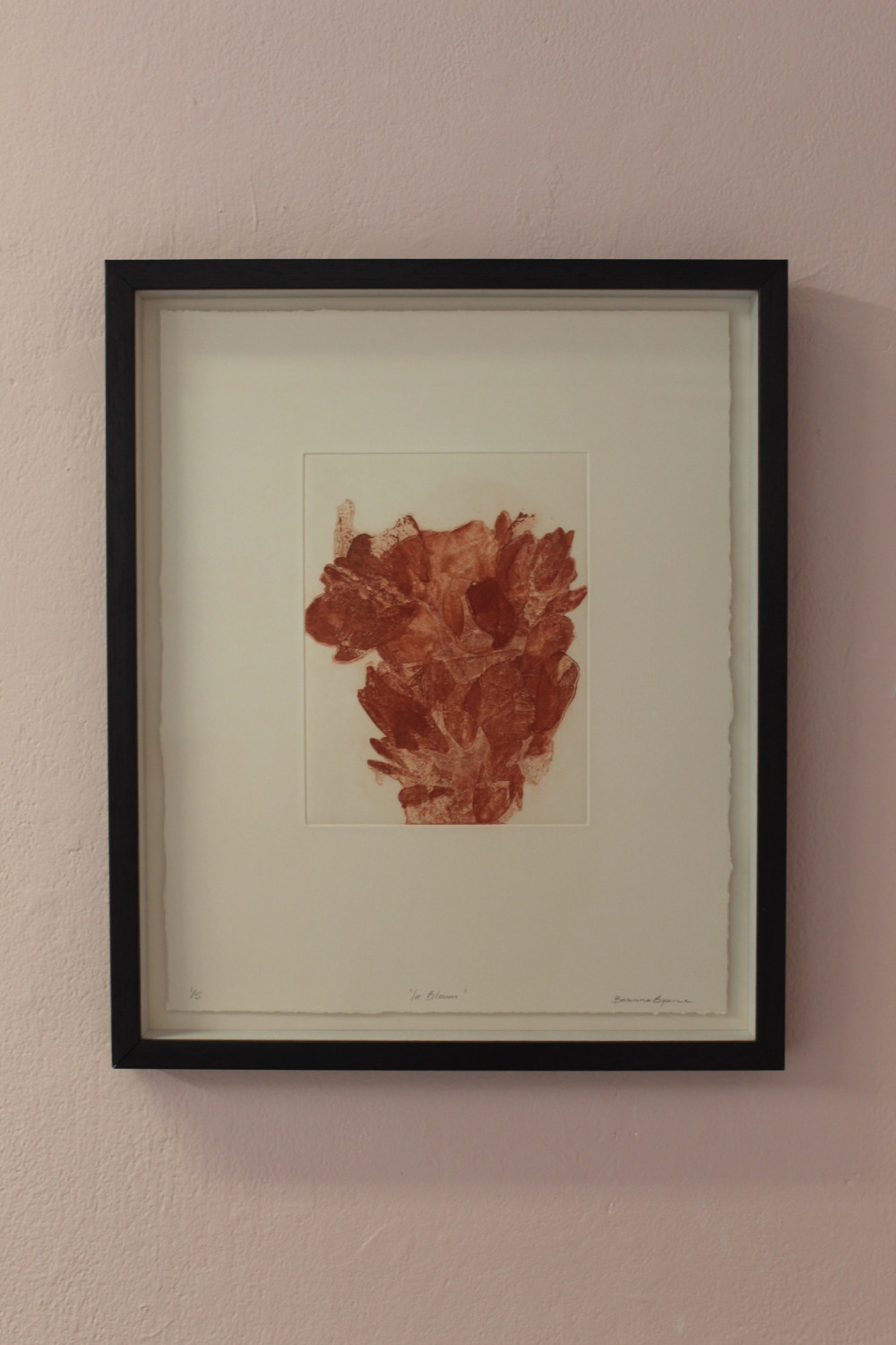 *In Bloom*, soft ground copper plate etching, ink on Fabriano, 37.5 x 30cm
