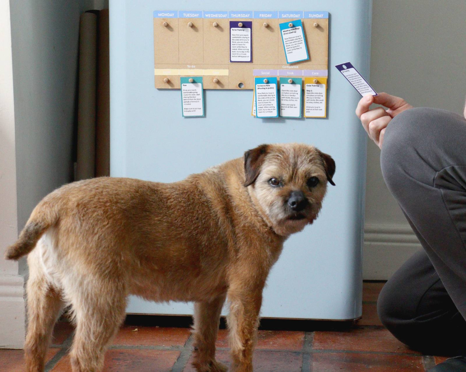 Using the training planner and cards, every member of the household can see where their pup is at with training.