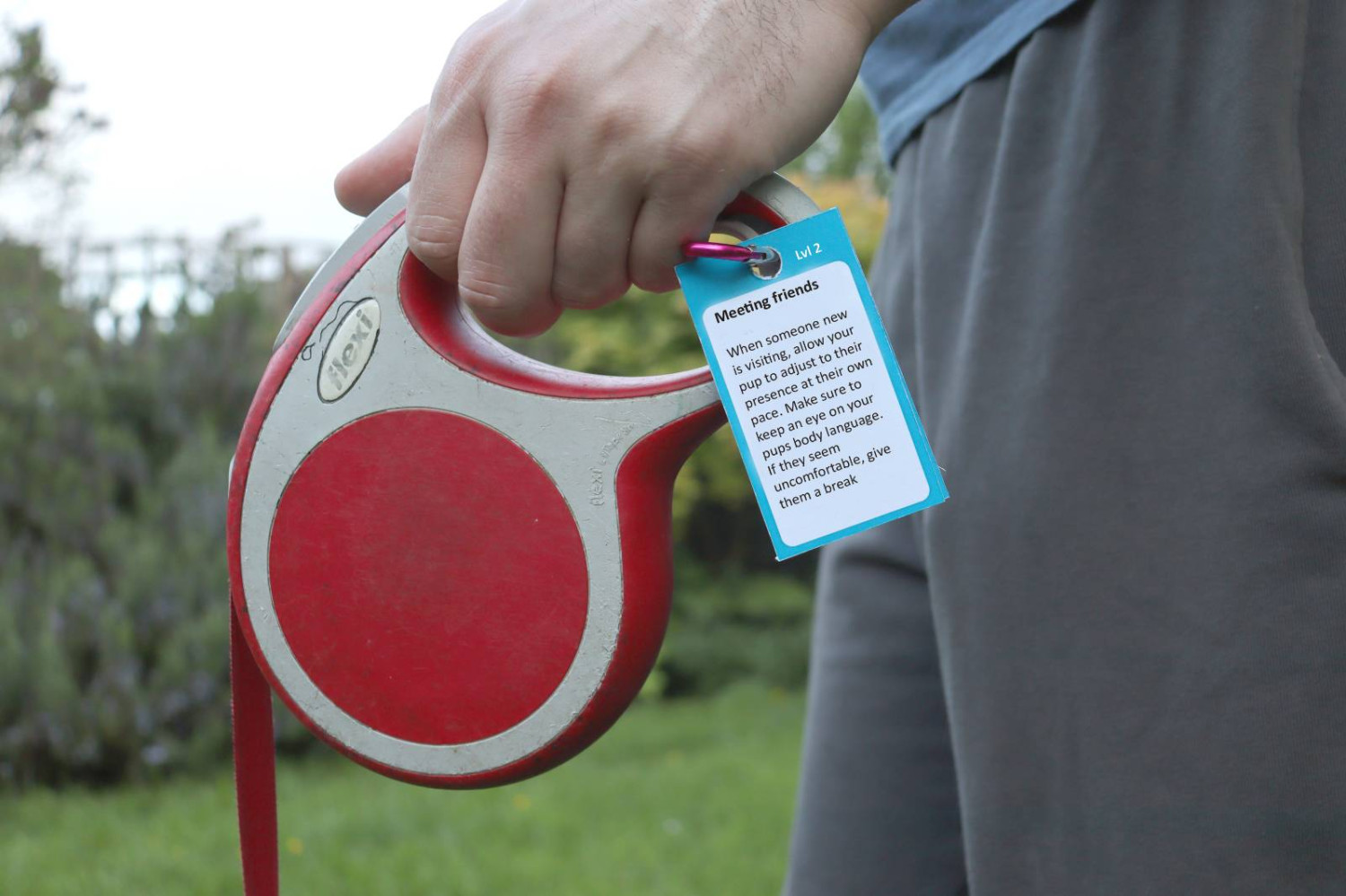Training cards can be attached to your leash, allowing for training reminders on the go.