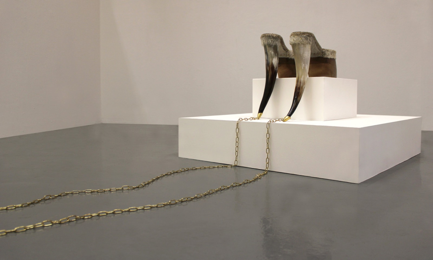 *Ferality, Fragility, Refinement*, installation view