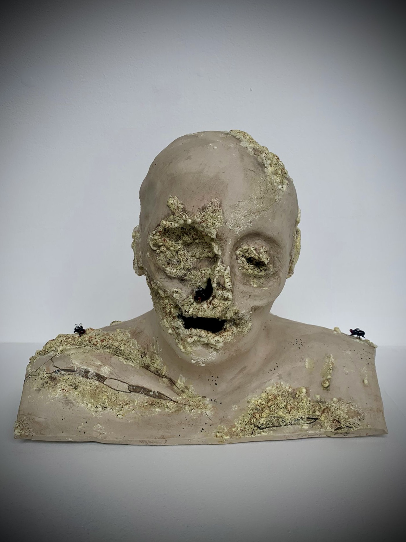 *The Natural Law – Advanced Decay*, ceramic, expanding foam, glass