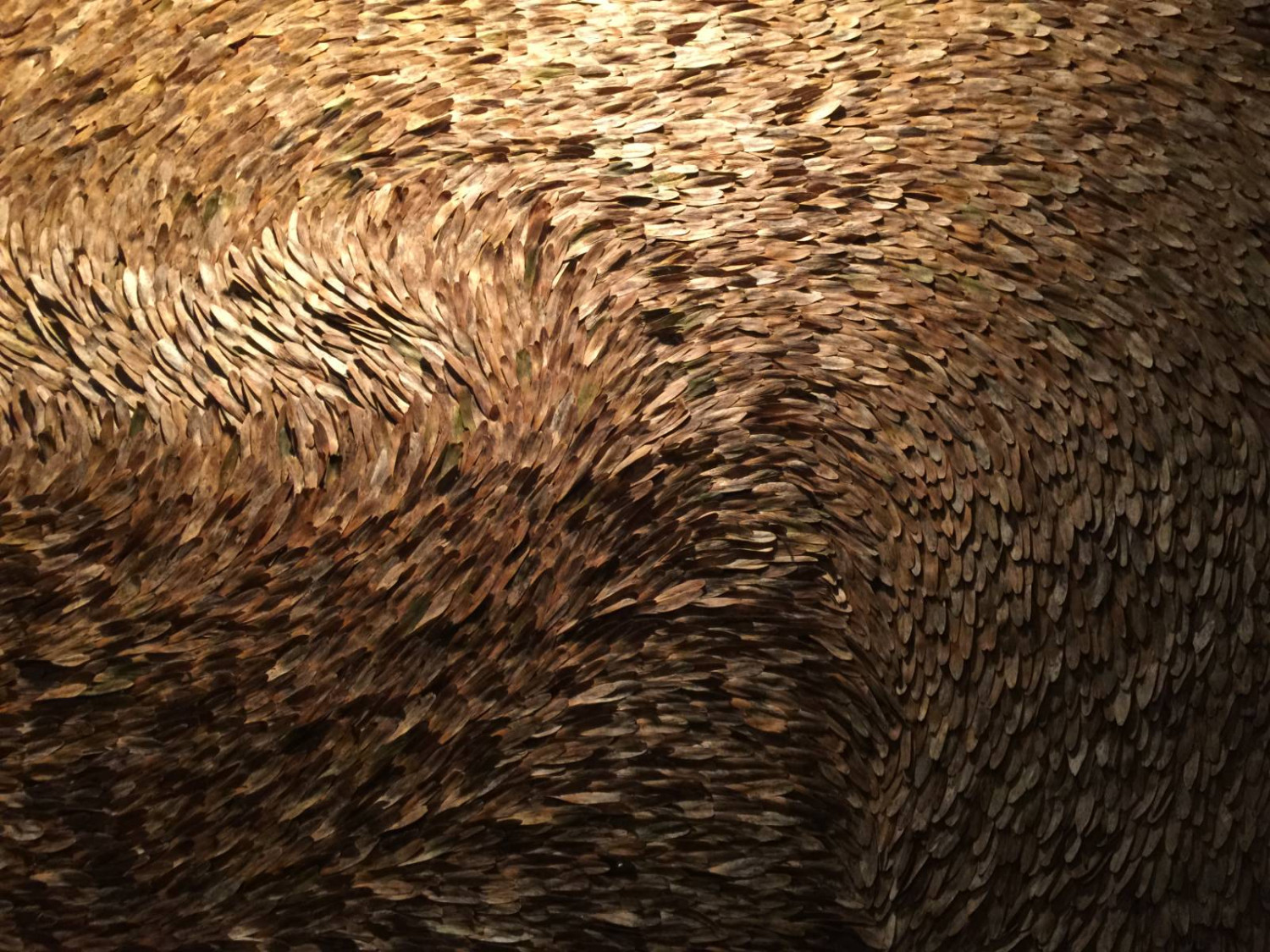 Artwork of seeds with the same number of seeds as people in Direct Provision,  61 x 122cm