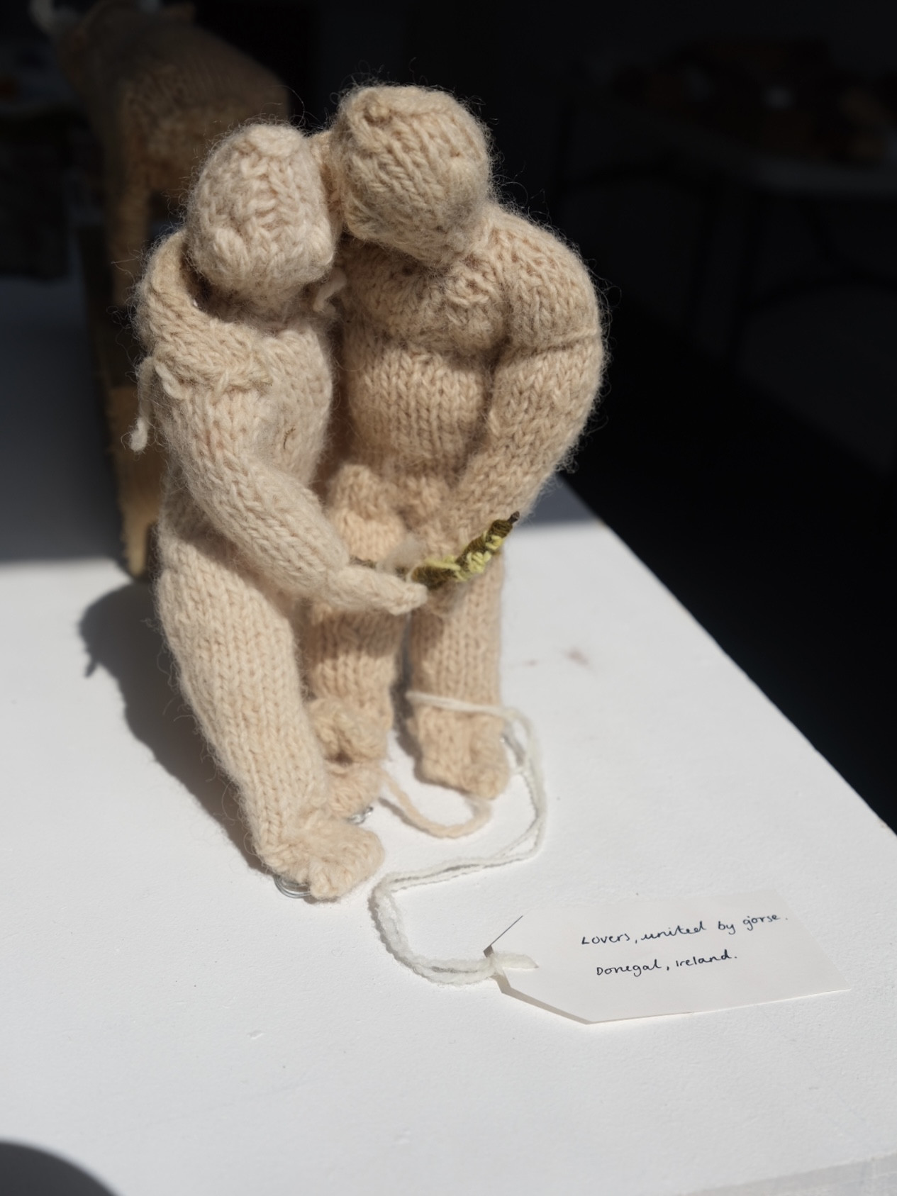 *Lovers, united by gorse*, hand knitted in heritage wools dyed with bark, gorse, onions and iron