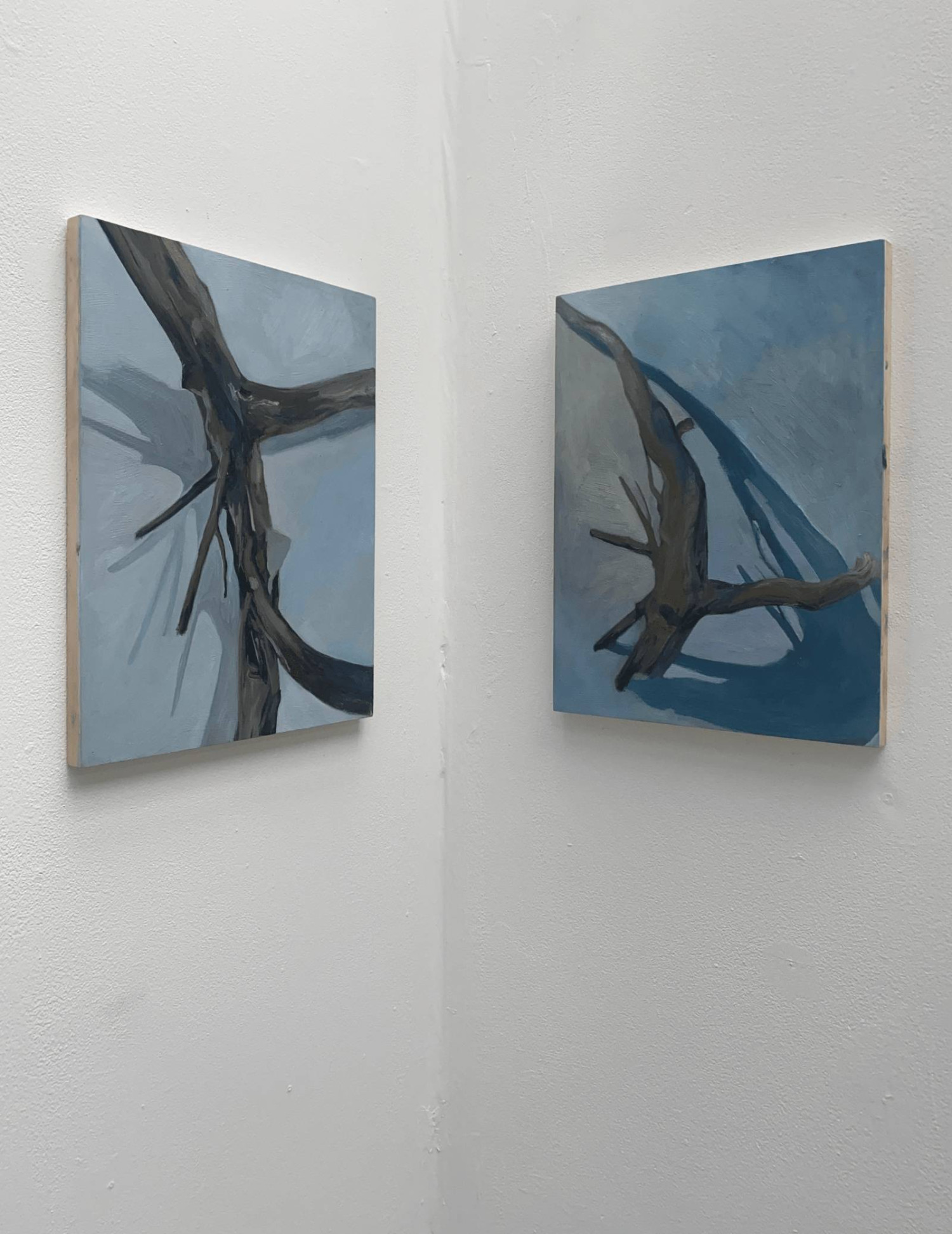Oil on board, installation view