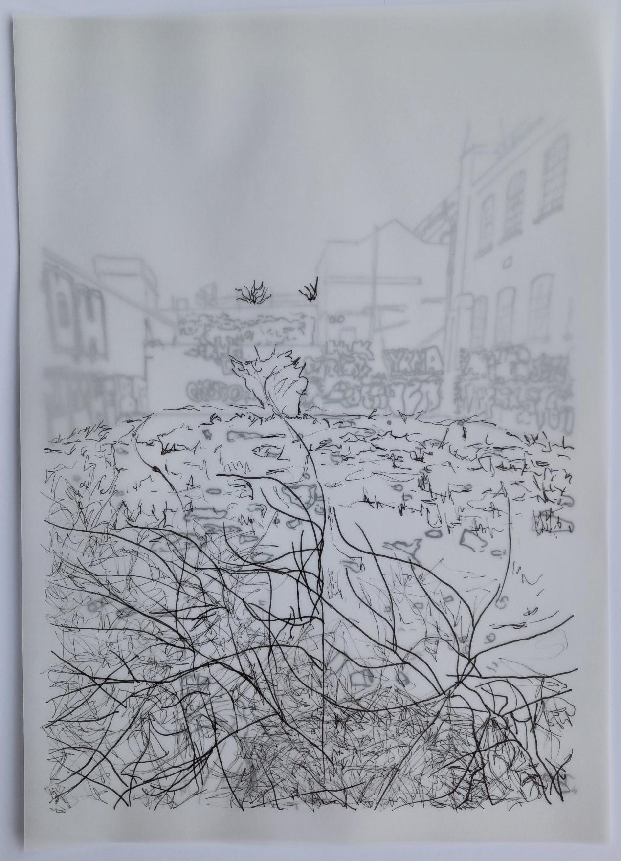 Drawing 4 from *Untitled*, a series of 4 drawings made using archival pens on tracing paper, 21 x 30cm