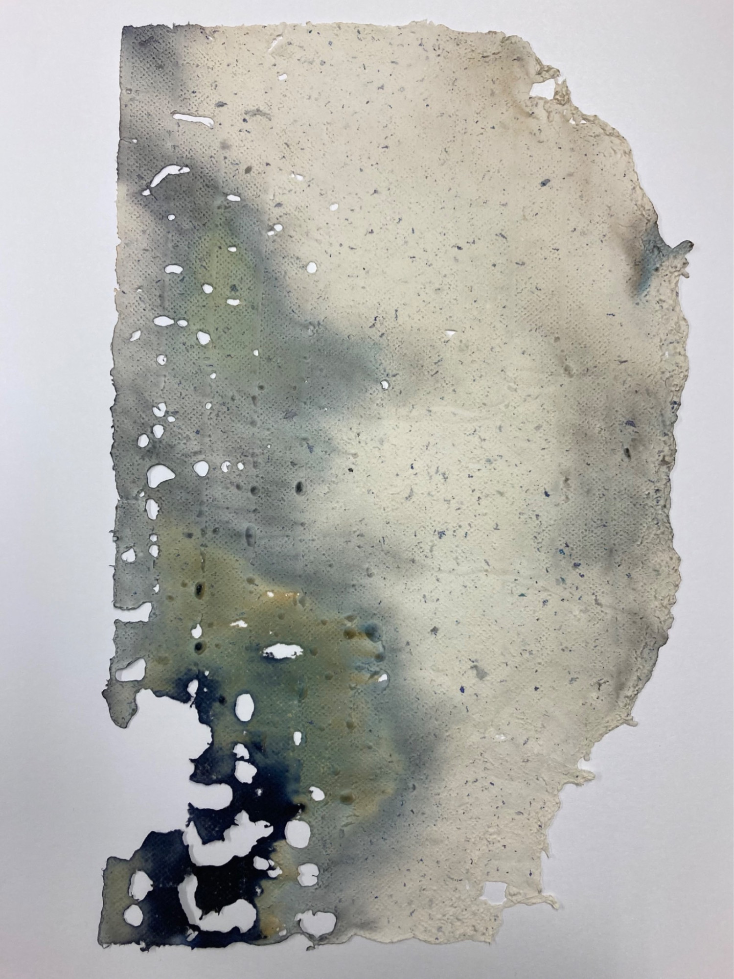 *C  on f orm*, handmade paper using cyanotype and collected fragments of nature, 41 x 58cm