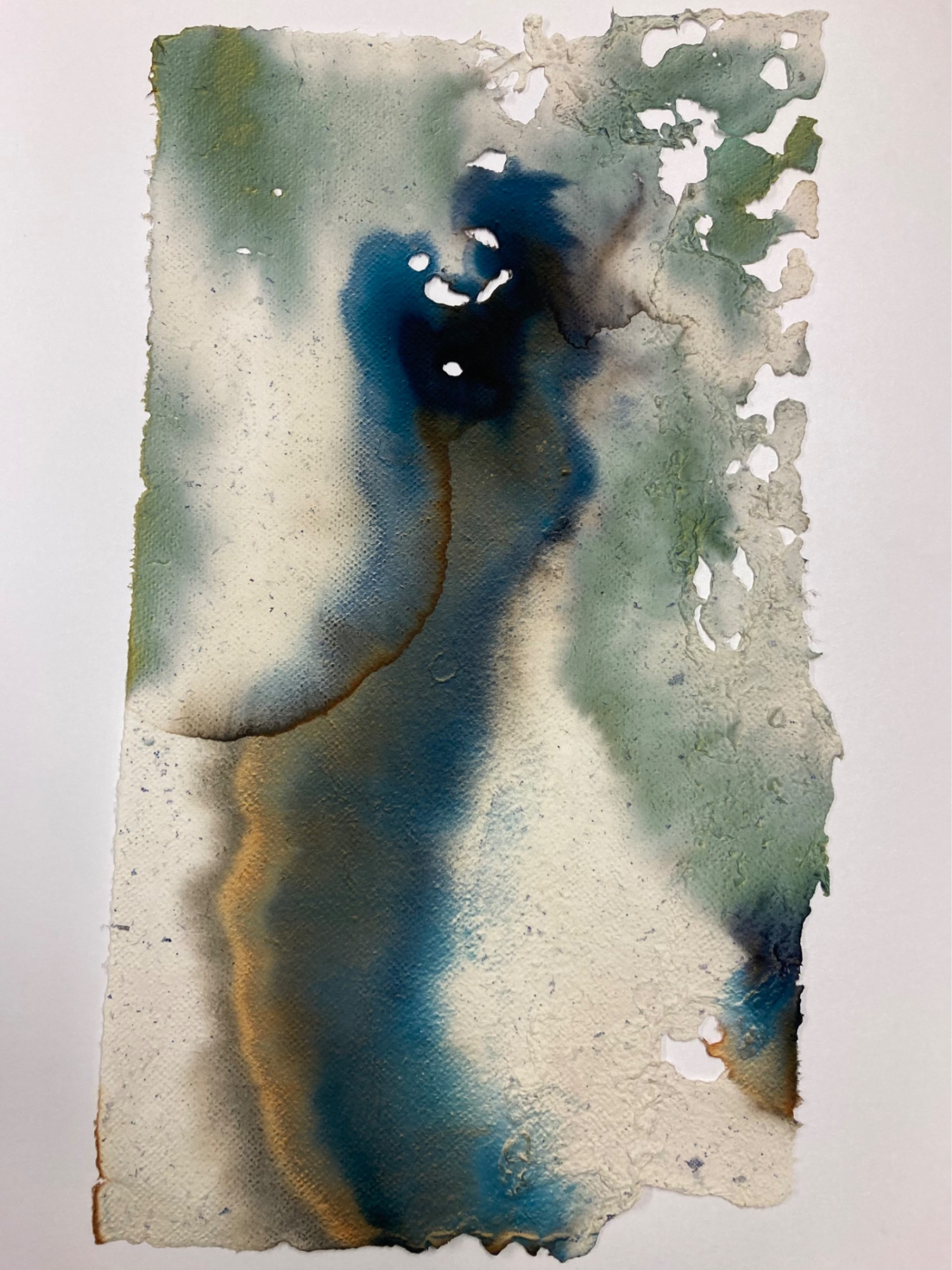 *Every body    has to*, handmade paper using cyanotype and collected fragments of nature, 41 x 58cm