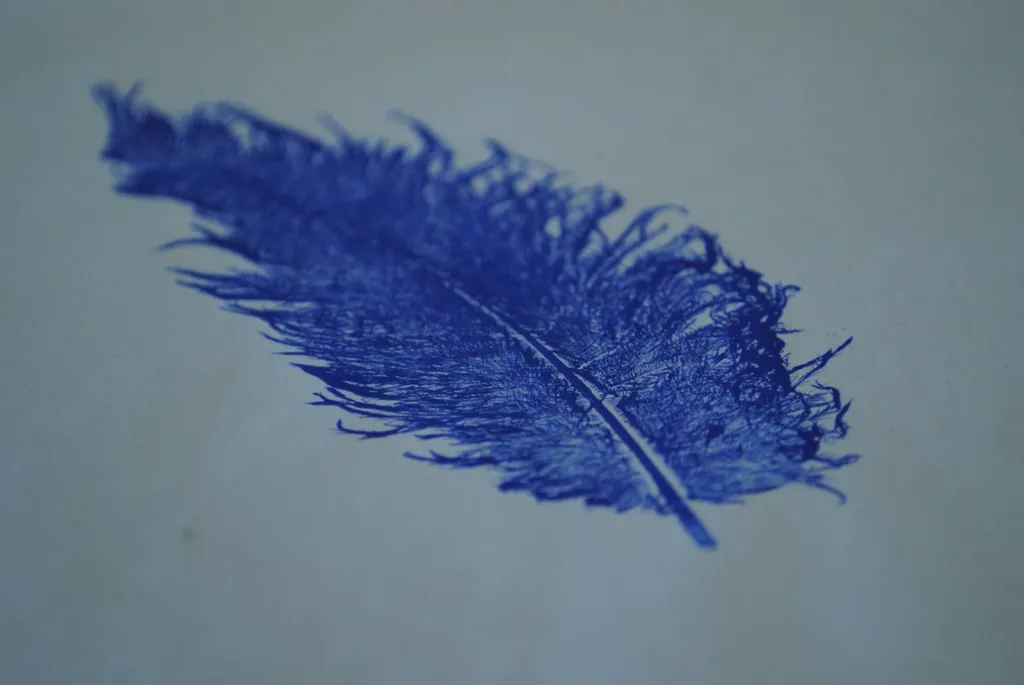 *Blue Feather*, monoprint