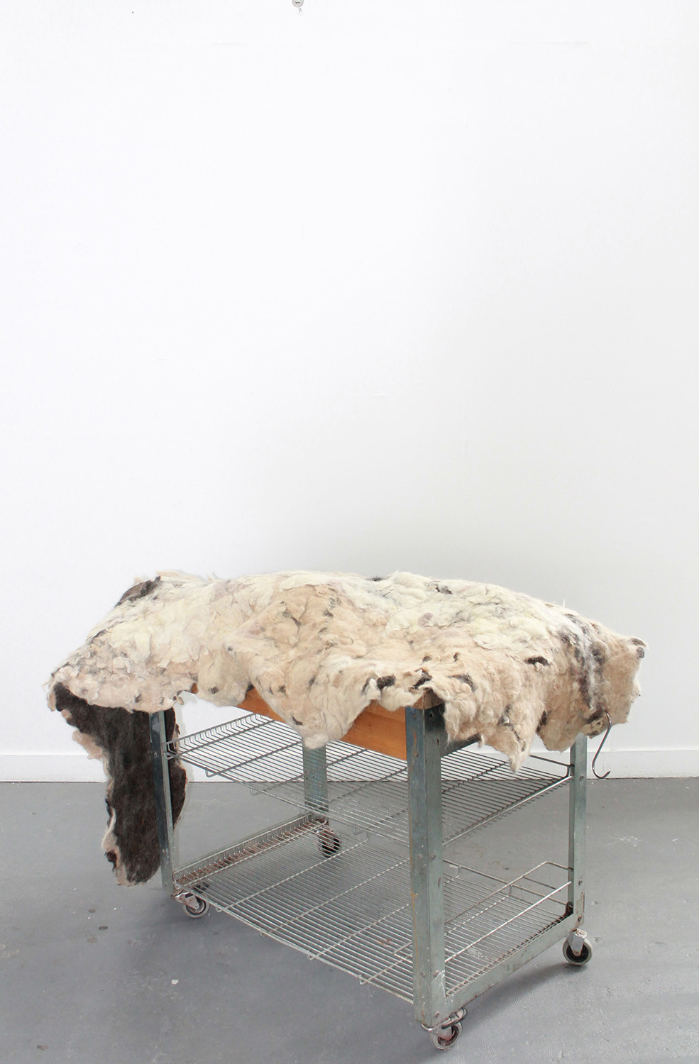 *Dolores Ipsum*, felted wool fleece and dog fur with butcher's block, 227 x 114 cm (installation view)