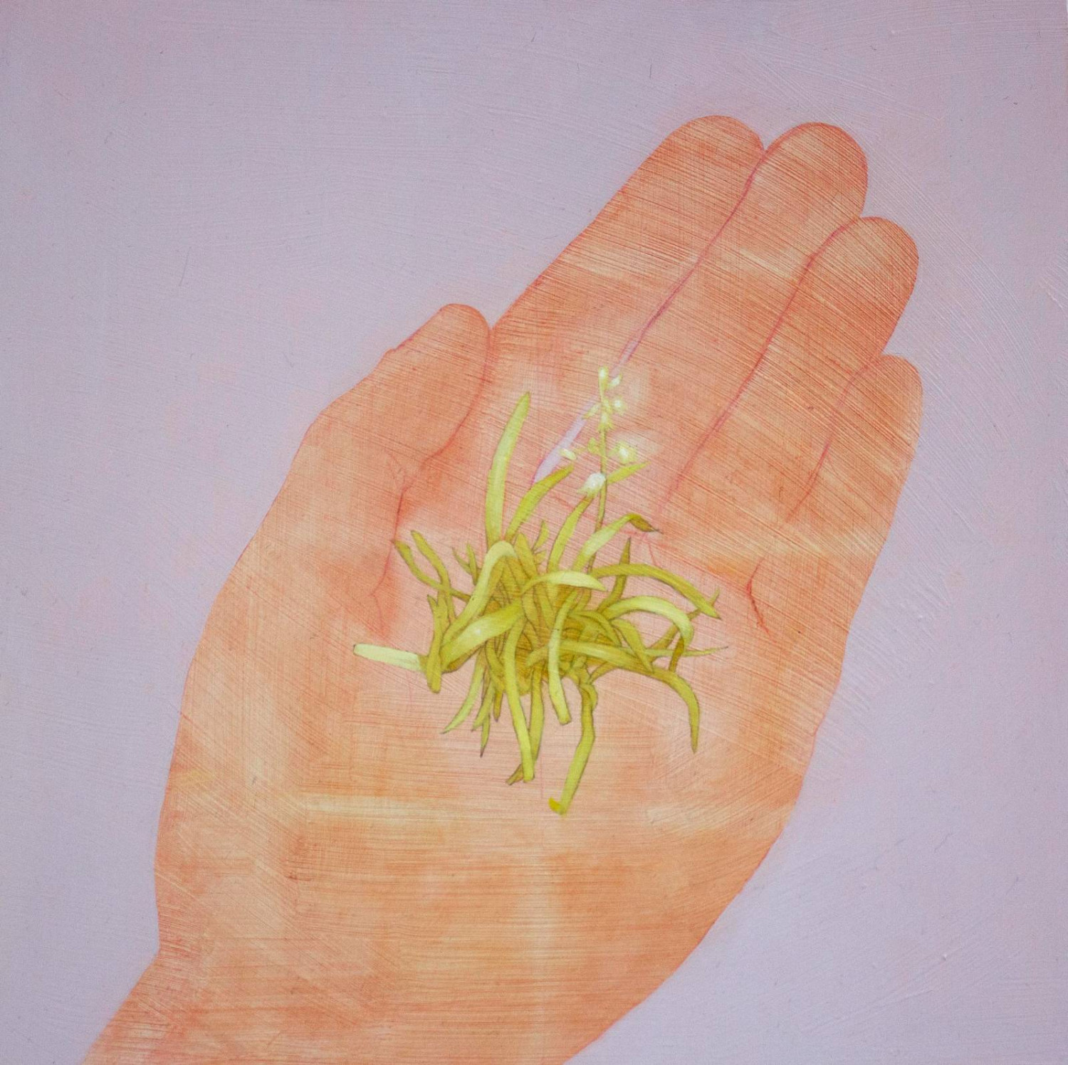 *Palm*, oil on wooden canvas, 30 x 30cm